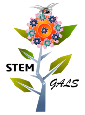 STEM Gals